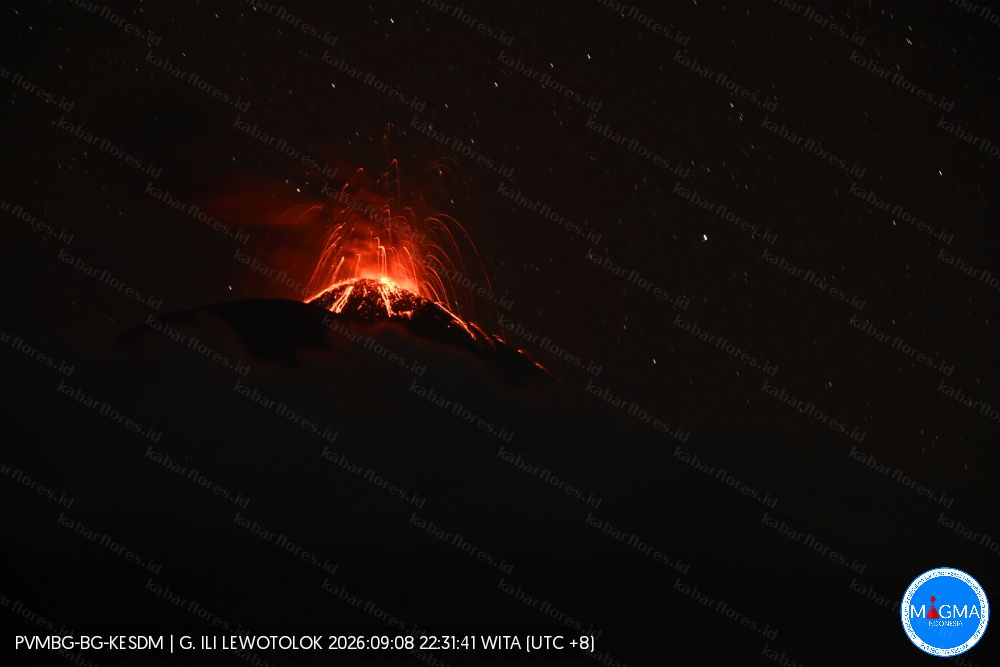 Gunung Ili Lewotolok 442 Kali Meletus, Lava Baru Mengalir 500 Meter dari Kawah