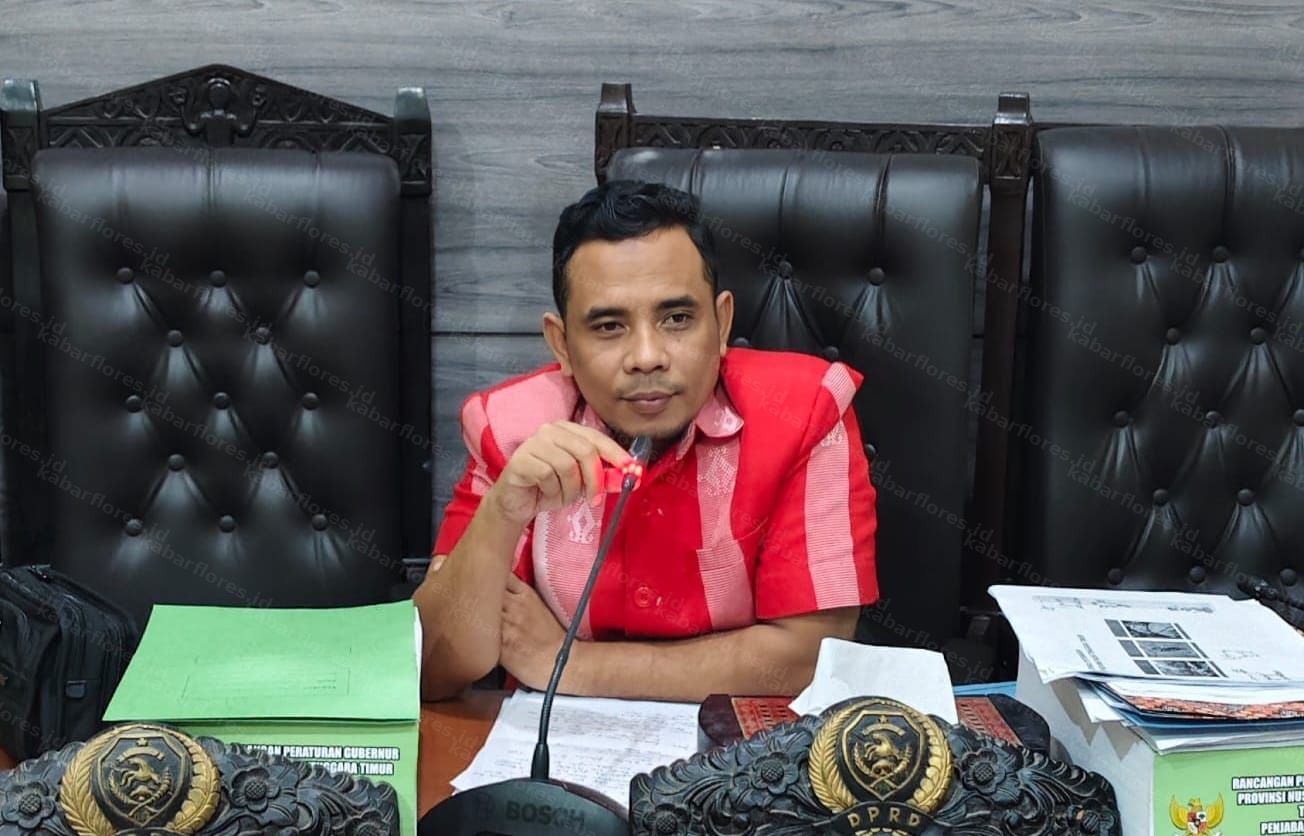 Soal Rp200 Miliar untuk Korban Gempa Flores, Junaidin: Jangan Biarkan Rakyat  Lama Menunggu