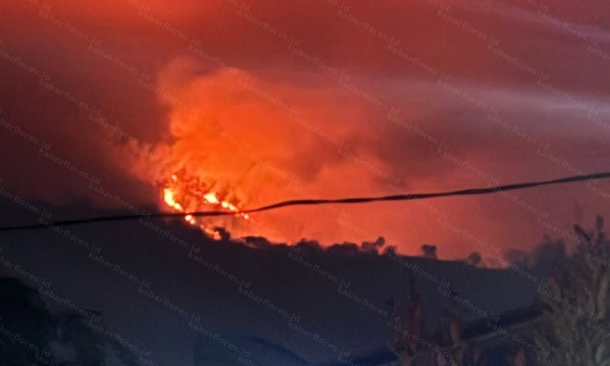 Kebakaran Landa Gunung Iya yang Masih Berstatus Waspada, 20 Personel Damkar Dikerahkan