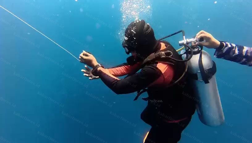 Tim SAR Kerahkan Penyelam dan Drone Bawah Air, Cari Veronica Korban Hilang KM Feronia di Labuan Bajo